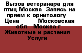 Вызов ветеринара для птиц Москва. Запись на прием к орнитологу. › Цена ­ 500 - Московская обл., Москва г. Животные и растения » Услуги   